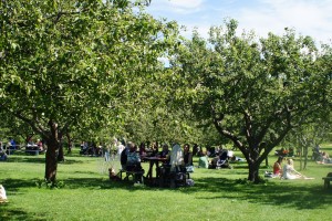 ローゼンダール・ガーデンのリンゴの木